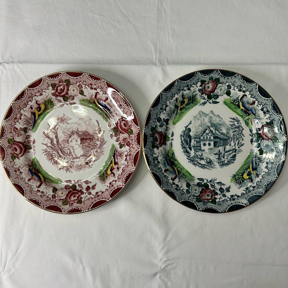Decorative Floral Transferware Dinner Plates - Set of 2 (Red & Green)